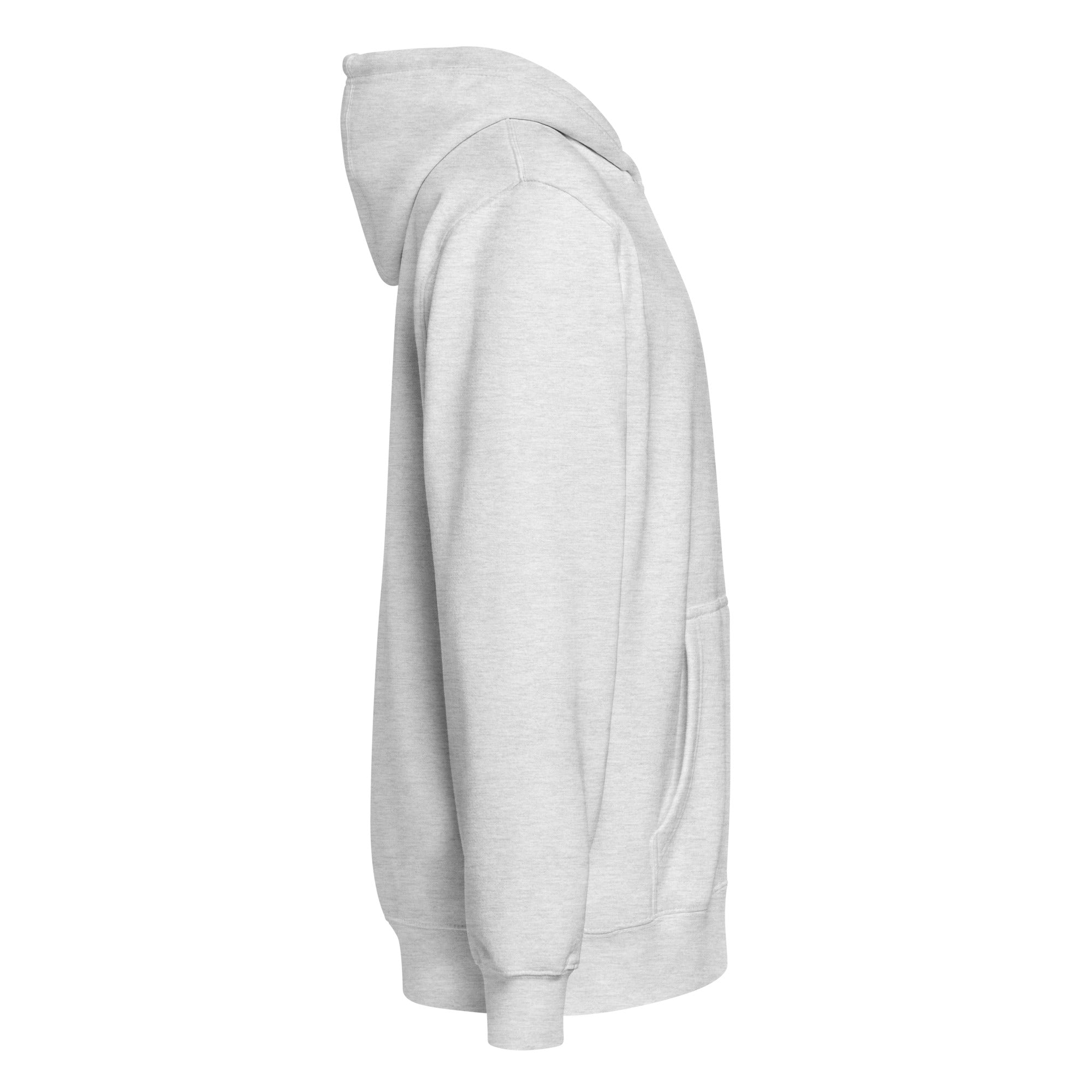 Image of Entrusted Premium Zip Hoodie heather grey right side — Christian zip hoodie grey Entrusted to Him