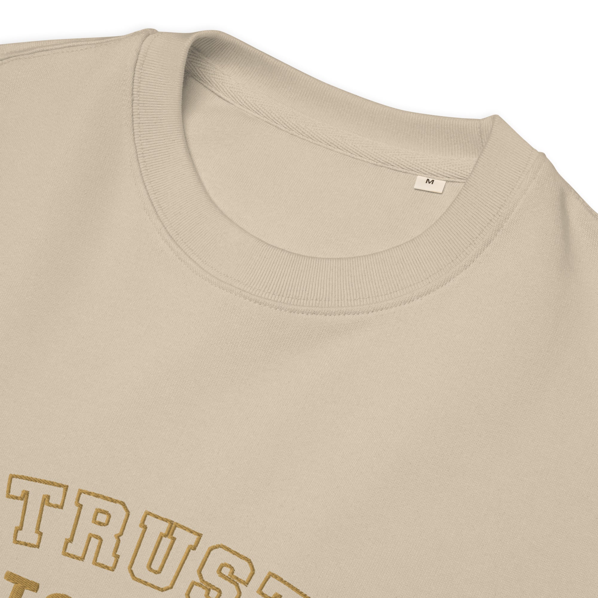 Image of Entrusted varsity embroidered sweatshirt desert dust product details — Entrusted to Him
